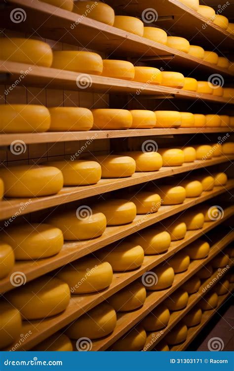 Large Number of Cheese-wheels Aging Stock Image - Image of large, cheesy: 31303171