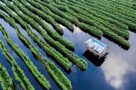 Inle Lake landscape | RECOFTC