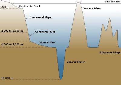 Seaborn: Ocean Sciences blogzine: Sylvia Earle Saturday: Marine Sciences Vocabulary Builder