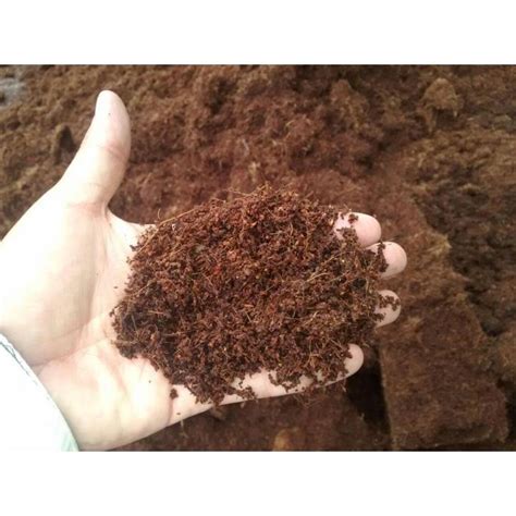 Coco peat fertilizer, 5kg | Daraz.pk