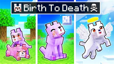 The BIRTH to DEATH of a Minecraft Wolf! - Minecraft videos