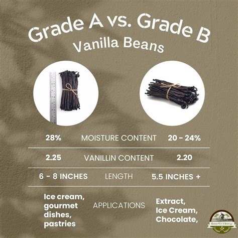 Differences Between Planifolia Grade A and B Vanilla Beans - EF&B