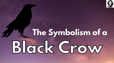 Symbolism of a Black Crow - Crow Spirit Animal Meaning - YouTube