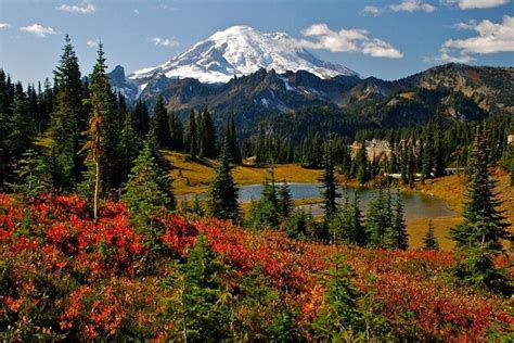 Mt. Rainier Private or Small-Group Full-Day Trip From Bellevue 2022 ...