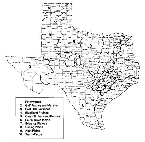 Texas Cities Map Poster | Texas Map with Cities and Counties Printables