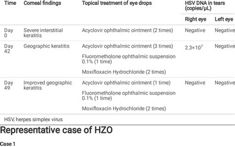 Clinical course and features of the representative patient with HSV... | Download Scientific Diagram