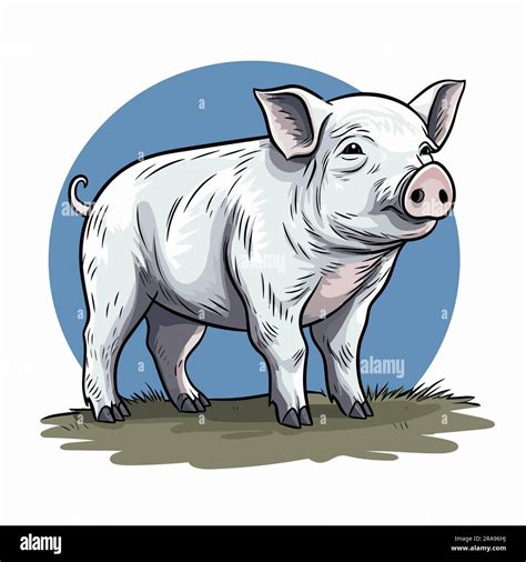 Hog. Hog hand-drawn illustration. Vector doodle style cartoon ...