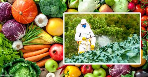 Pesticides Are Found in 85 Percent of Fresh Produce