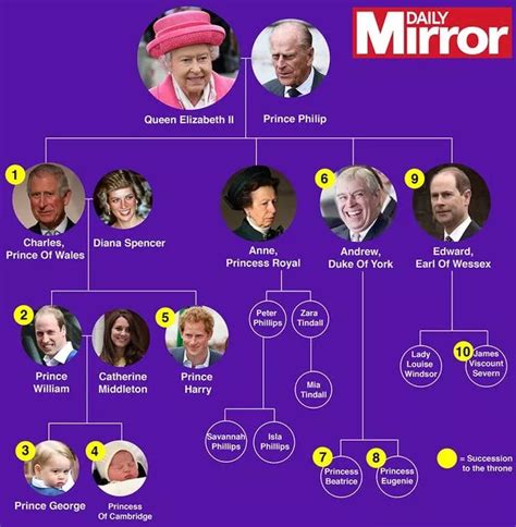 Royal baby: Princess of Cambridge's family tree revealed - Mirror Online