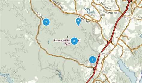 Best Trails in Prince William Forest Park - Virginia | AllTrails