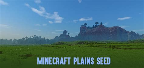 Minecraft plains seeds : what are their functions in the game?