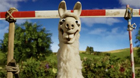 Llama GIFs - Find & Share on GIPHY