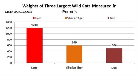 Weights of Ligers, Lions and Tigers