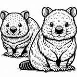 Wombat Coloring Pages 25  Gem sketch template