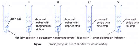 Effect-other-metals-rusting-experiment-1 | Redox reactions, Science classroom, Reactions