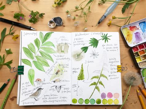 Nature Journaling - Drawing Ideas For Spring | Julia Bausenhardt ...