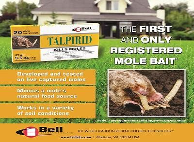 Moles vs Voles - vole vs mole damage and more !| Target Specialty Products