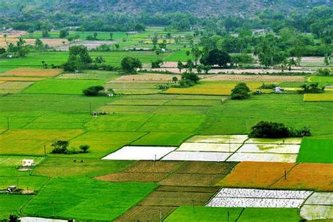 9 Point Check List For Buying Agricultural Land In Telangana & AP? - The Logical Indian