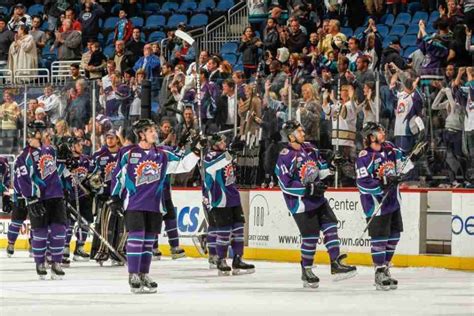 Revisit the Orlando Solar Bears out of hibernation season – Valencia Voice