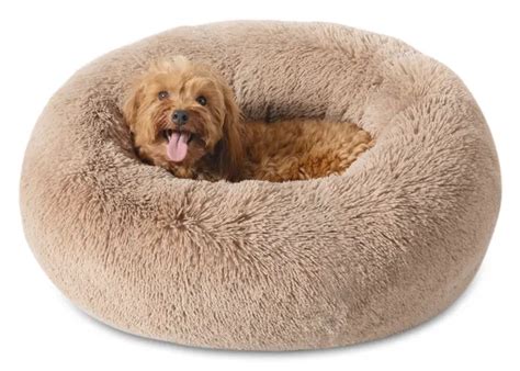 BEST Dog Bed for Pug ( Top Picks for Comfort and Support )