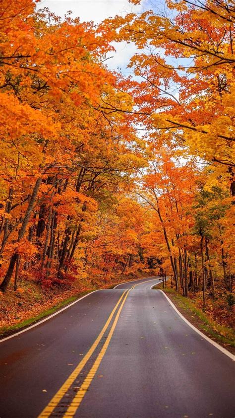 Autumn Road Wallpaper - iXpap