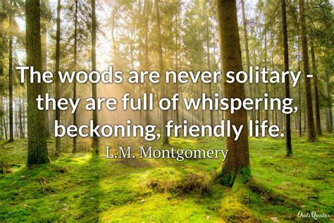 25 Best Wood Quotes