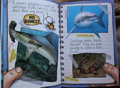 Shark Books :: Book Sharing Monday