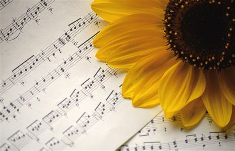 Sunflower Sheet Music Flower - Free photo on Pixabay