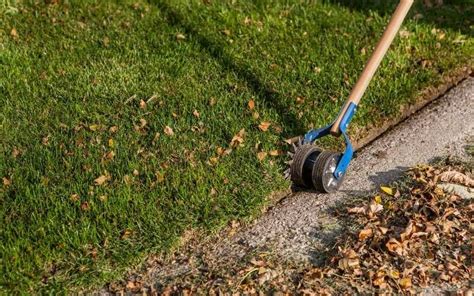 8 Best Landscape Edgers For Lawn And Flower Bed Edging