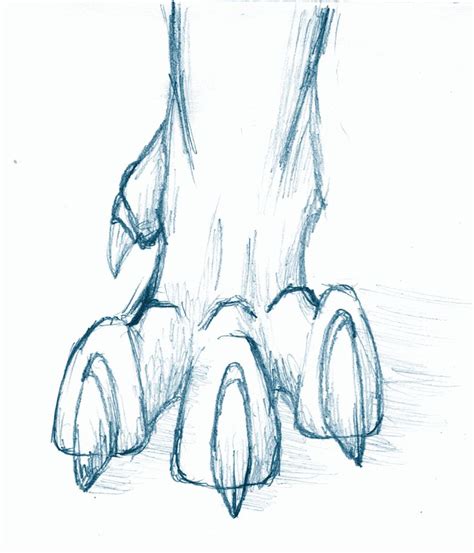 a pencil drawing of an animal's legs and feet with one foot on the ground