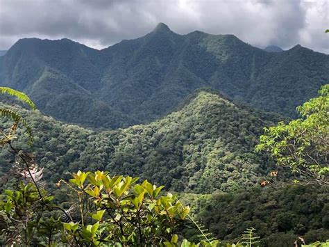 INTEGRAL ECOLOGY: The Joy of Climbing the Great Mountains of Bukidnon