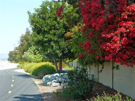 Santa Ana River Trail and Parkway » The Wildlands Conservancy