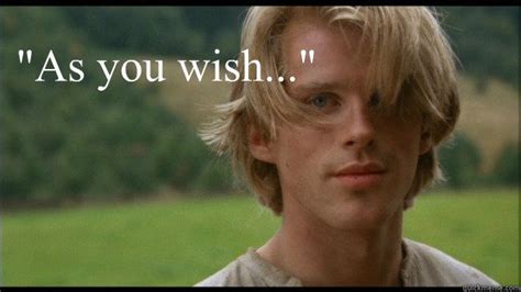 Pin by Carrie Lynn Rydberg-Griffith on The Princess Bride | Princess bride, Princess bride ...