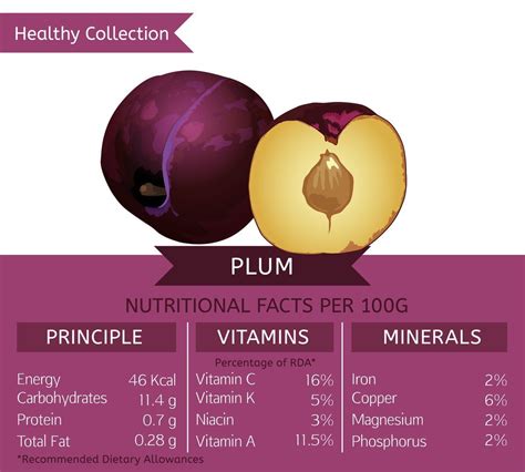 12 Different Types of Plums | Types of plums, Plum nutrition, Plum ...