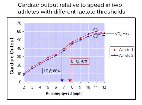 Week 14. Visualizing Cardiac Output and Blood Flow Physics ...