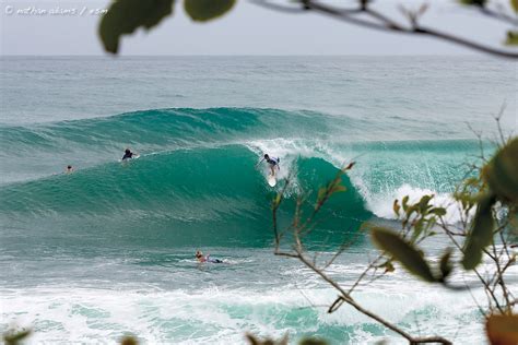 Surfing Bocas Del Toro Panama | Red Frog Bungalows