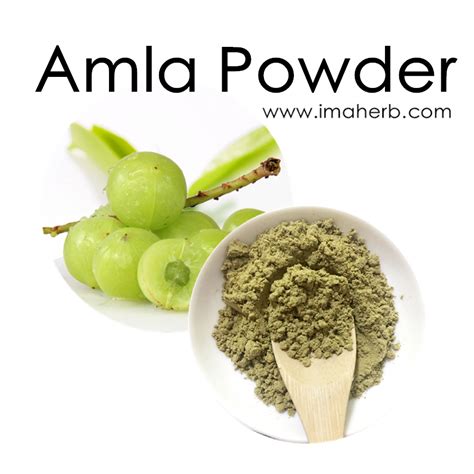 Factory Supply Natural Amla berry Extract Powder/Amla Extract Powder/Amla Powder