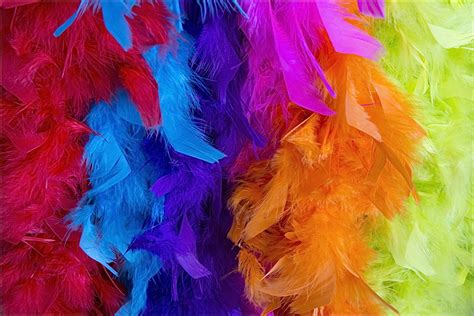 Feather Boas | Feather Boas | Joan Burgess | Flickr