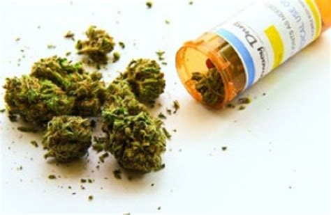 Medical Cannabis Strains | Florida Medical Marijuana