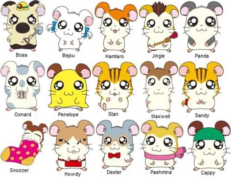 Cute hamster Hamtaro dailysweet - HAMTARO