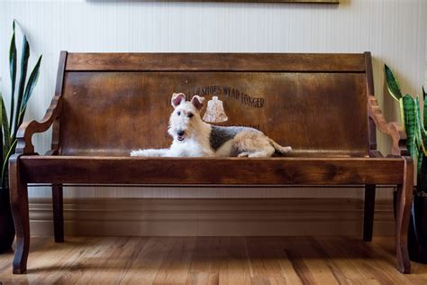 9 of Virginia's Most Pet-Friendly Hotels - Virginia's Travel Blog