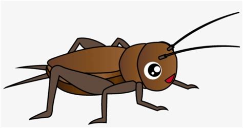 Free Png Cricket Insect Clipart Png Images Transparent - Cricket Insect ...