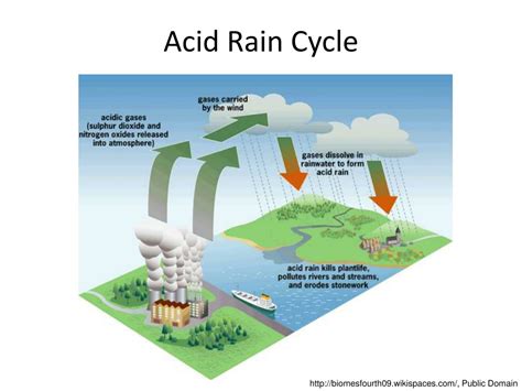 PPT - Acid Rain Cycle PowerPoint Presentation, free download - ID:9456178