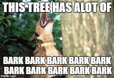 Dog Barking Up Tree Memes - Imgflip