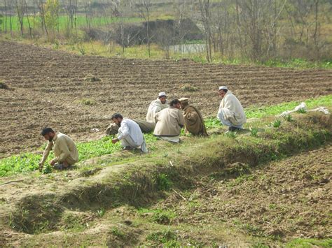 Pakistan Amazing Village Life - World Politics