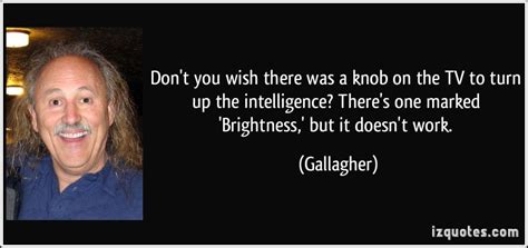 Gallagher Quotes. QuotesGram