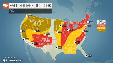 Fall colors 2021: Foliage forecast for North Carolina calls for vibrant ...