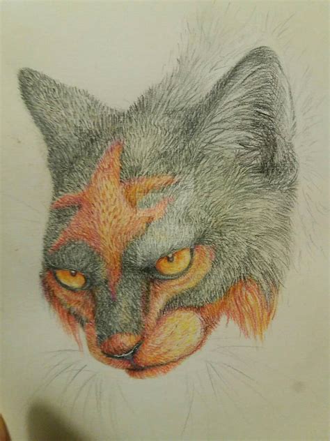 Realistic pokemon - Litten by SavouryChaffinch on DeviantArt