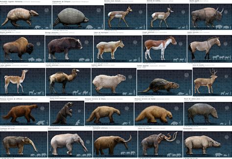 533 best Pleistocene images on Pholder | Naturewasmetal, Pleistocene ...