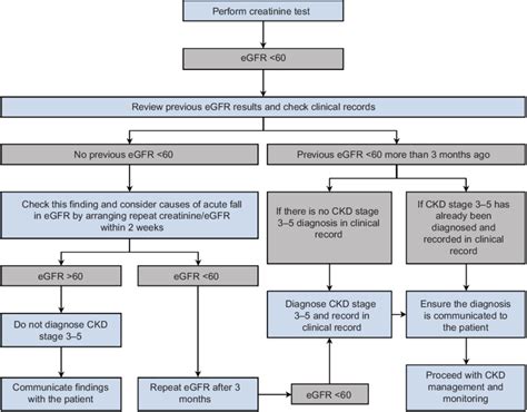 Clinical decision pathway in CKD diagnosis in relation to eGFR. Notes ...